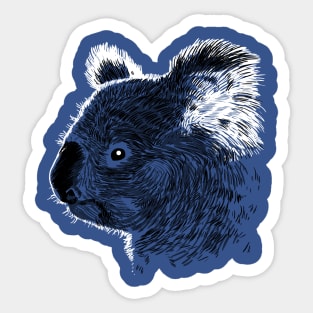 Skecth Koala Sticker